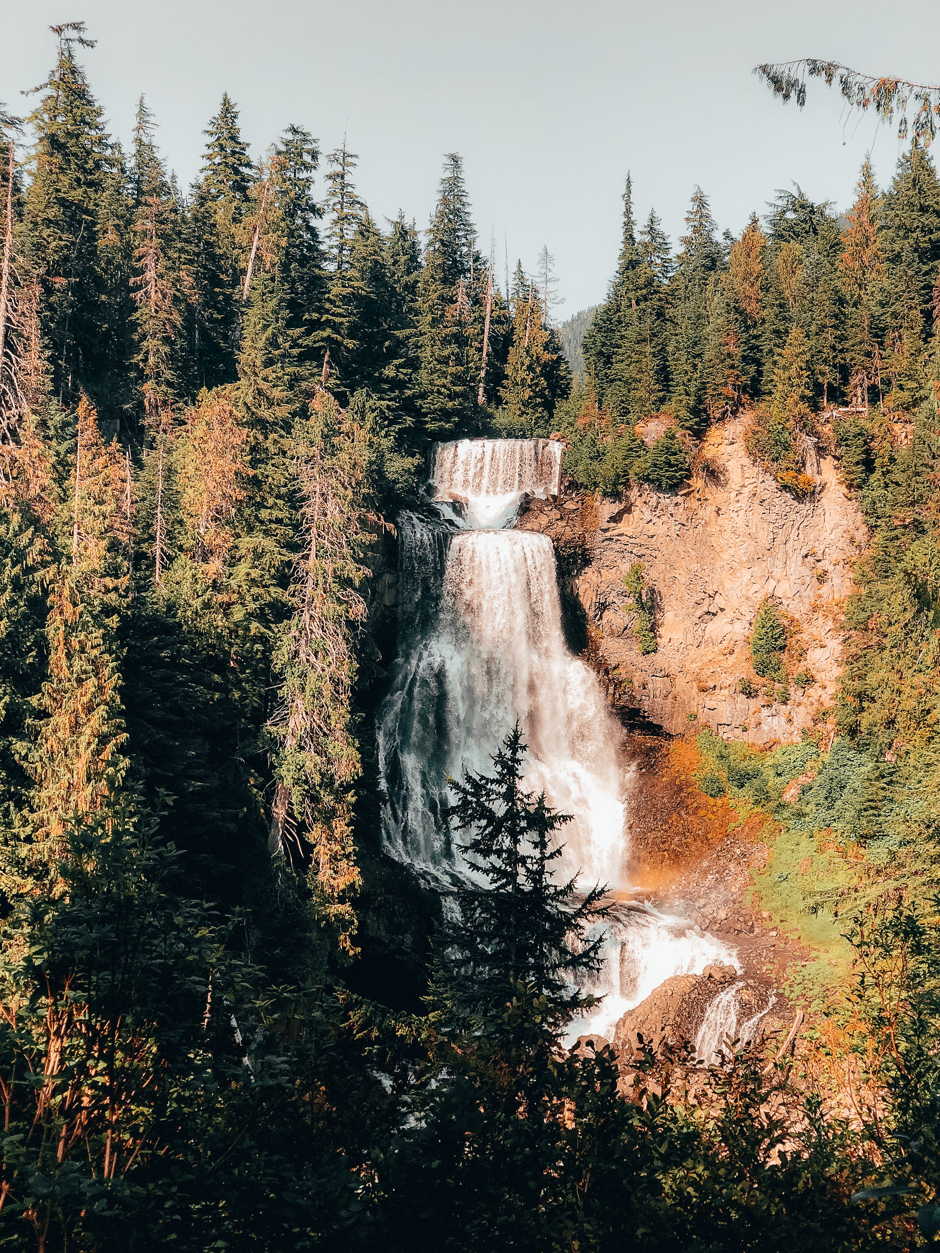 waterfall-surrounded-by-a-forest-of-green-trees.jpg